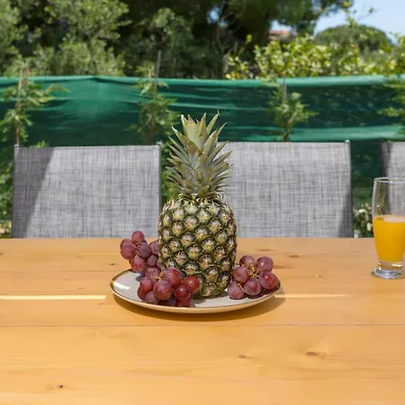 Tatil Evi Melody Complex Akrotiri (Zakynthos)